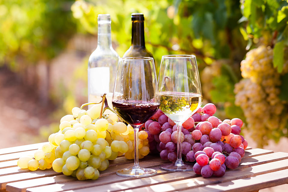 吉備中央町ふるさと夢体験バスツアーの画像