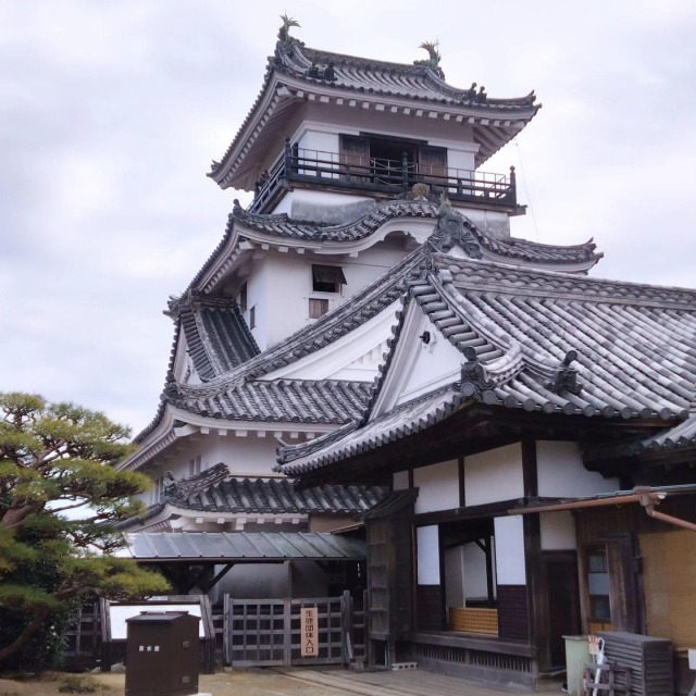 高知：地元の職場のグループ旅行の画像