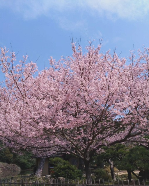 香川：地元企業様の社員旅行の画像